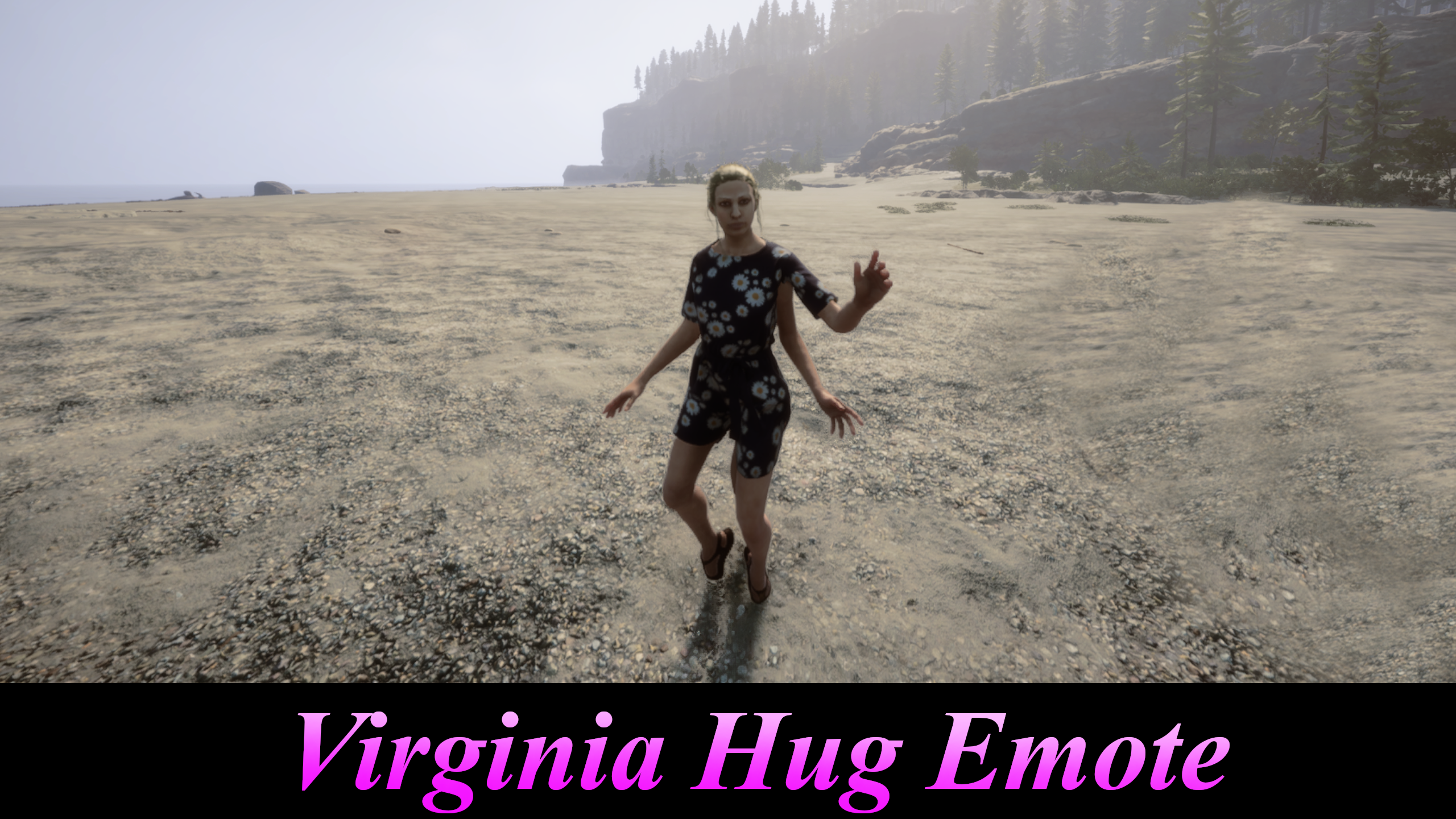 Virginia Hug Emote