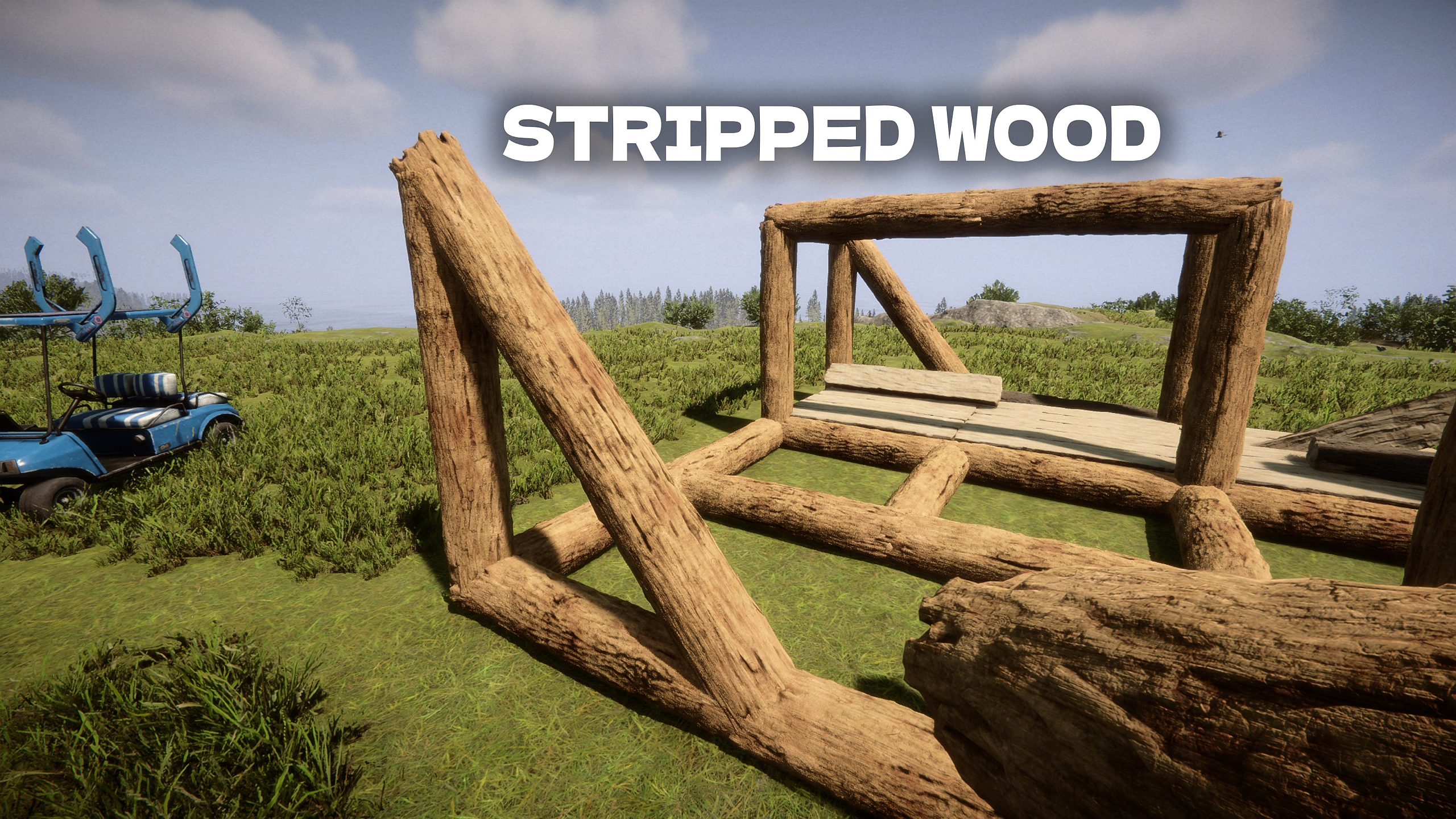 StrippedWood
