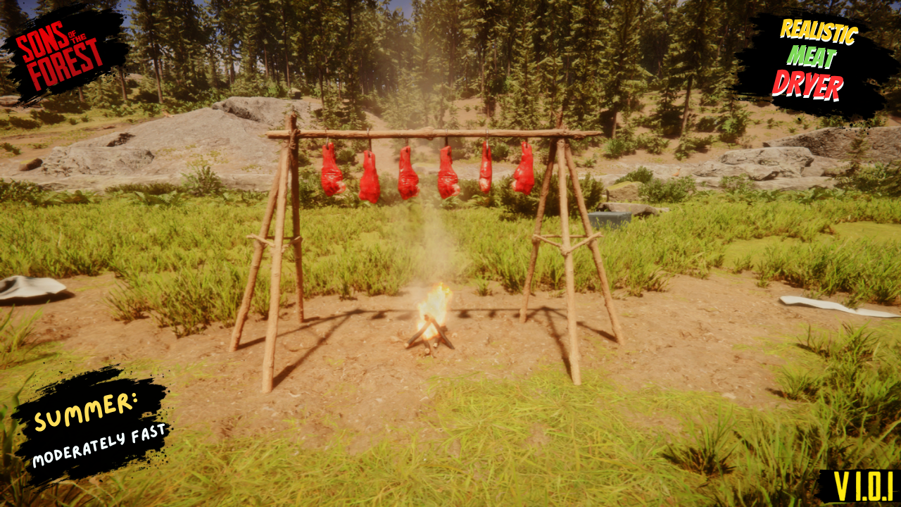 Realistic meat dryer - Image 4