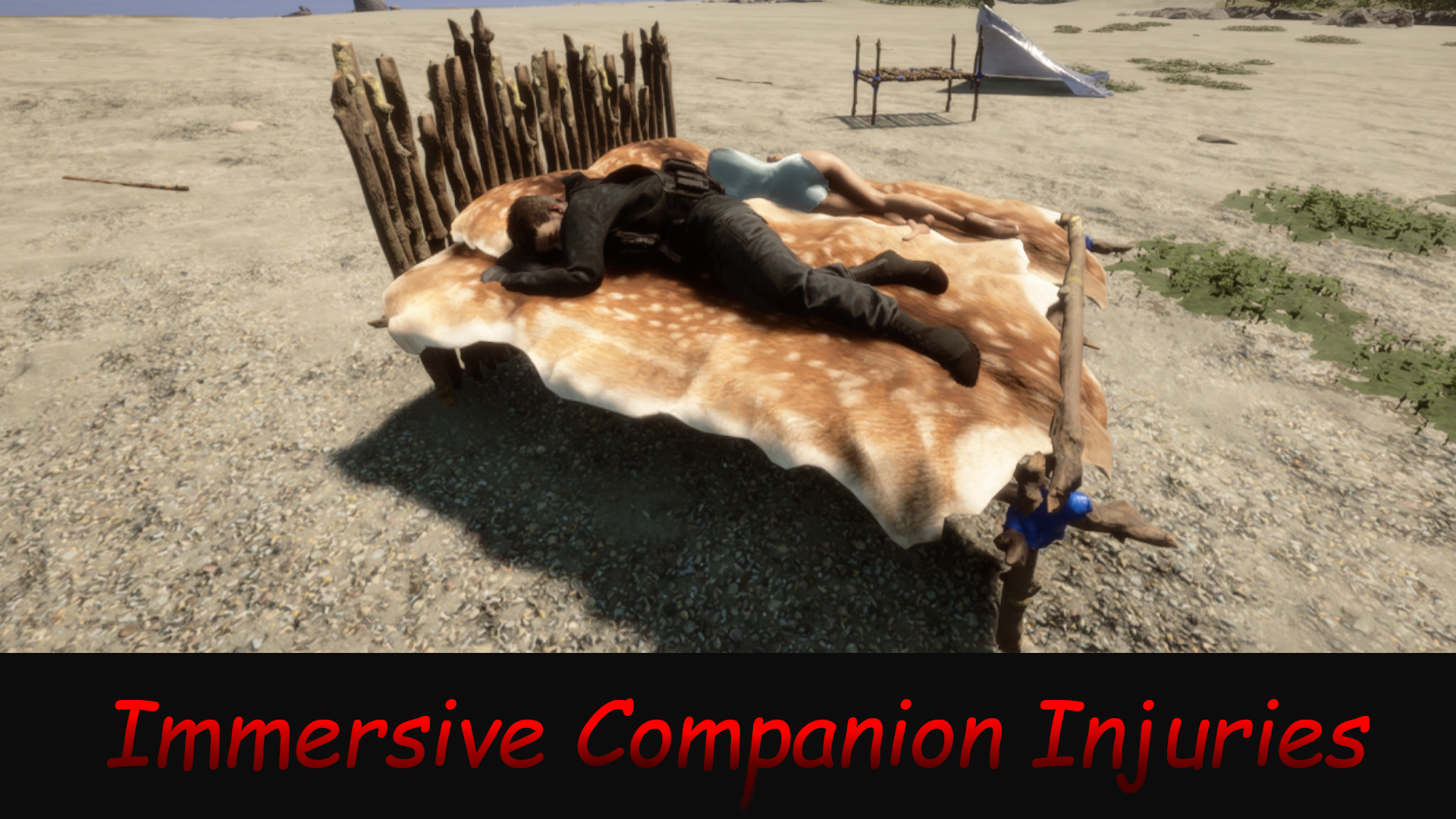 Immersive Companion Injuries (Beta)