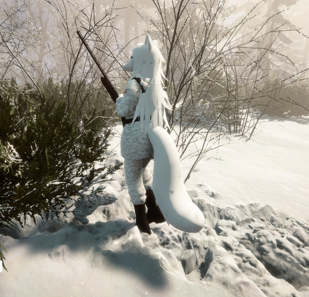 Arctic Fox Virginia - Image 1